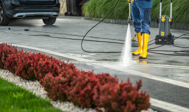 Best Gutter Cleaning  in Hamilton, MT