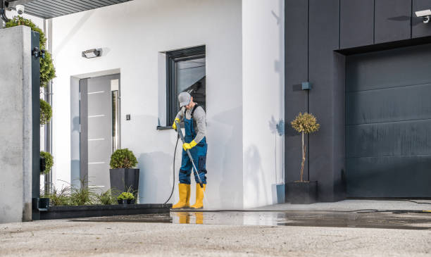 Best Animal Enclosure Cleaning  in Hamilton, MT